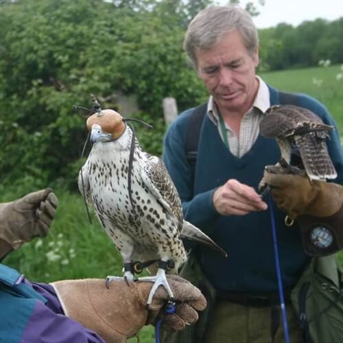 Birds of Prey Experiences in Gloucestershire